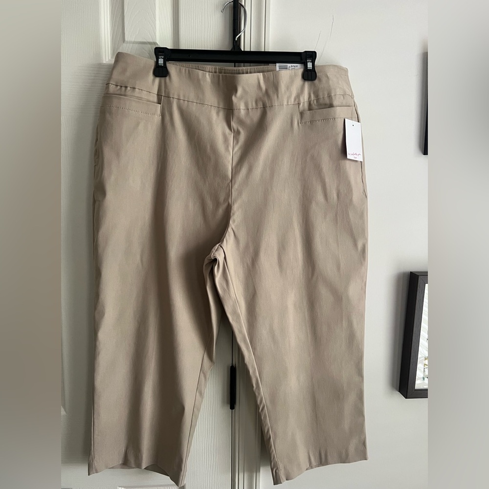 Kim Rogers Tan Millennium Capri Pants 18